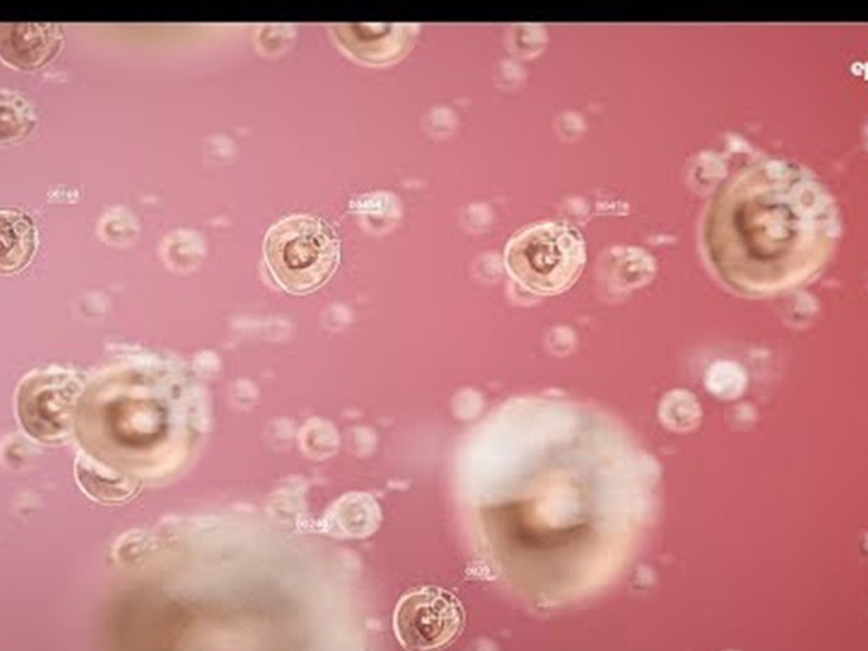 Eppendorf Easypet® 3 - Pipet Tabancası 5